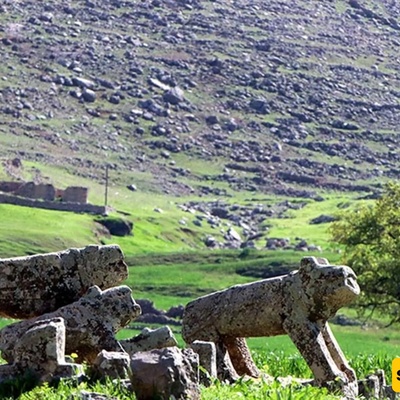 سهل سوسن فی إیذج / الجنه الخضراء فی خوزستان
