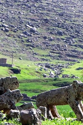 سهل سوسن فی إیذج / الجنه الخضراء فی خوزستان