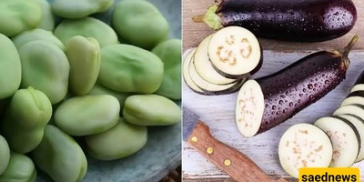 کیفیه تحضیر الباقالی بادمجان: طبق فارسی لذیذ ومغذٍ