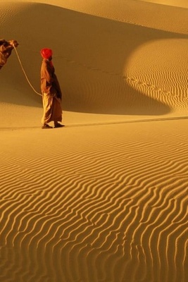 ثقافه راجستان: تراث الهند النابض بالحیاه