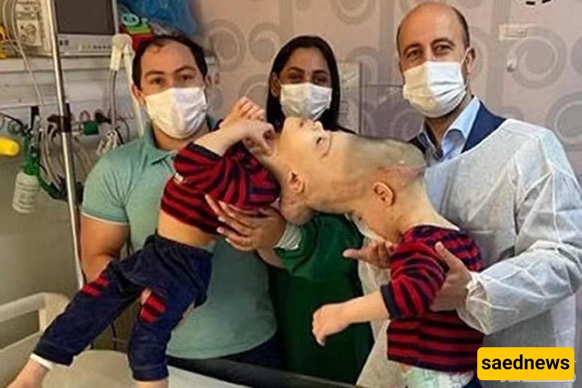 برناردو وآرثر