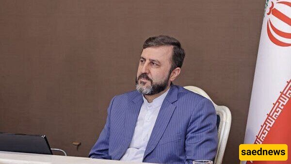 غریب آبادی: التعاون بین الدول المطله على بحر قزوین مفتاح النجاح فی حمایته