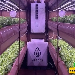 الزراعه بدون تربه توفر 99٪ من المیاه! ما السر وراء نجاح ایرفارم؟