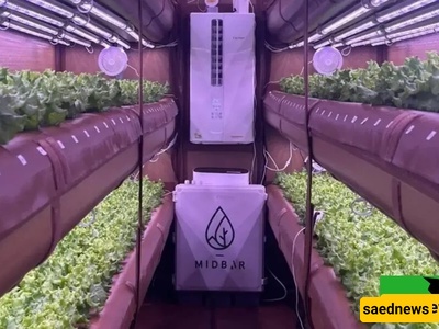 الزراعه بدون تربه توفر 99٪ من المیاه! ما السر وراء نجاح ایرفارم؟