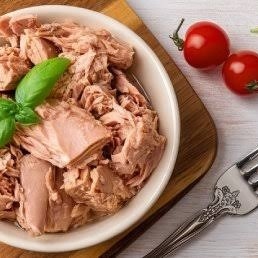 هل لسمک التونه المعلّب قیمه غذائیه؟