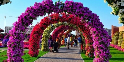 حدائق الخلیج: حدیقه سنغافوره الساحره الحالمه