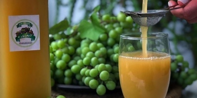 نصائح وحیل بسیطه لتحضیر عصیر الحصرم المنزلی عالی الجوده وغیر المرّ + طریقه تحضیره