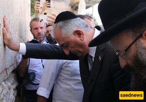 رضا پهلوی الملقب حسرت‌السلطنه: إذا أصبحت شاهًا، سأکون شاهًا متنقلاً، سته أشهر فی واشنطن وسته أشهر فی قصر طهران!