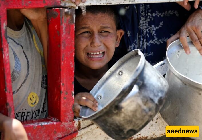 وزاره الصحه بغزه: استشهاد 500 فلسطینی یومیا بسبب المجاعه فی قطاع غزه