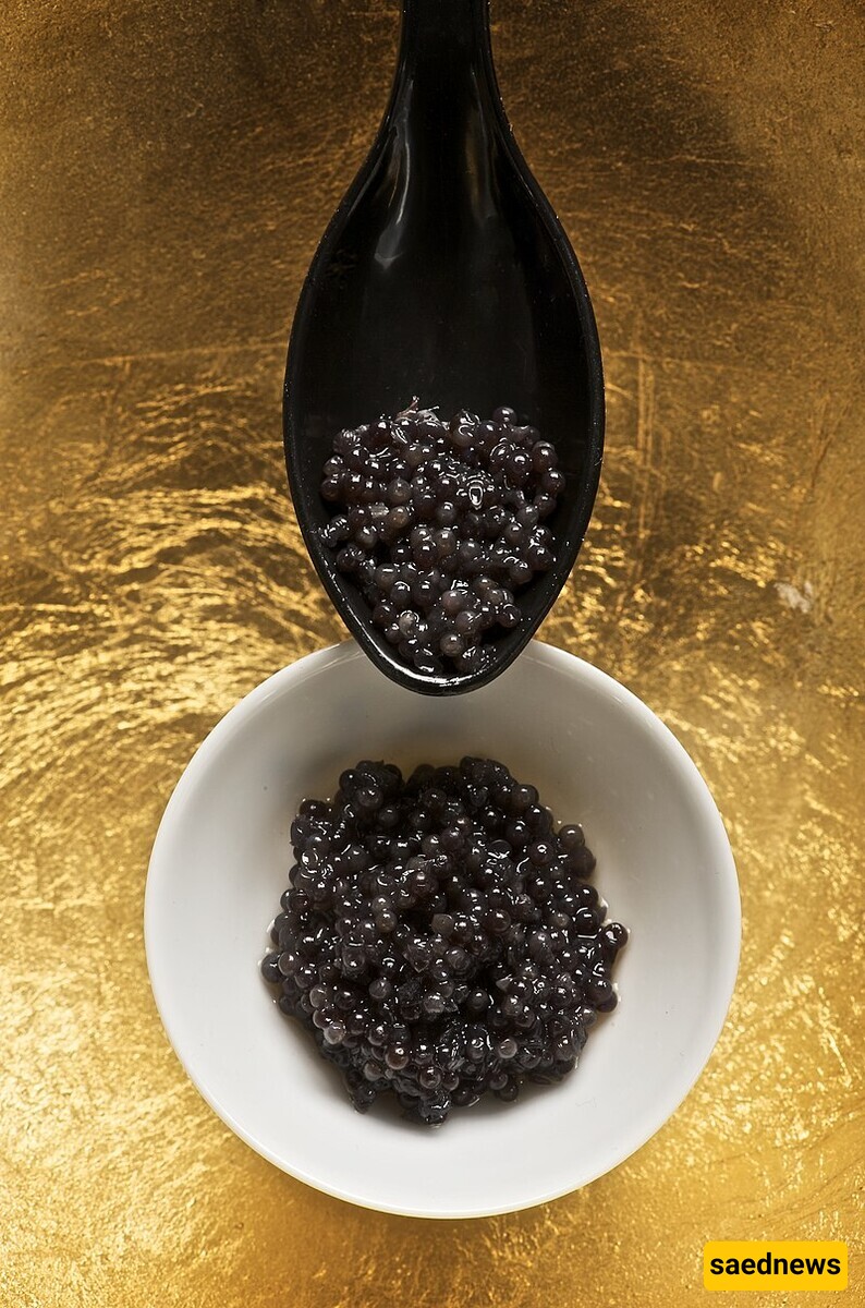 Beluga Caviar