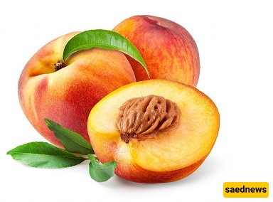 بذور الخوخ