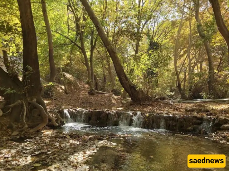 الجنه المفقوده