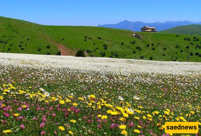 فندقلو