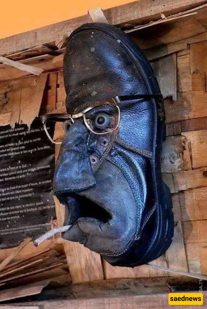مبتکر 