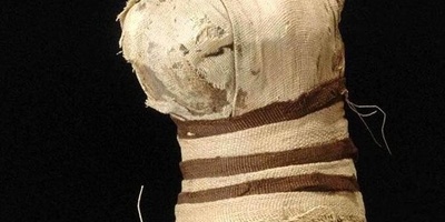 قطه محنطه غیر عادیه بخمسه أرجل وثلاث ذیول + صوره