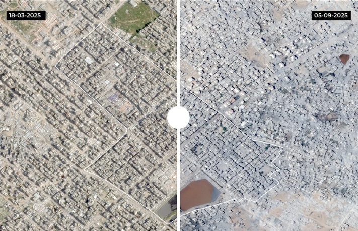 فلسطینیا