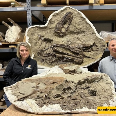 آخر وجبه لهذا الدیناصور اکتُشفت داخل أحفوره بعد 75 ملیون سنه