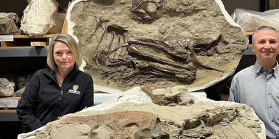 آخر وجبه لهذا الدیناصور اکتُشفت داخل أحفوره بعد 75 ملیون سنه