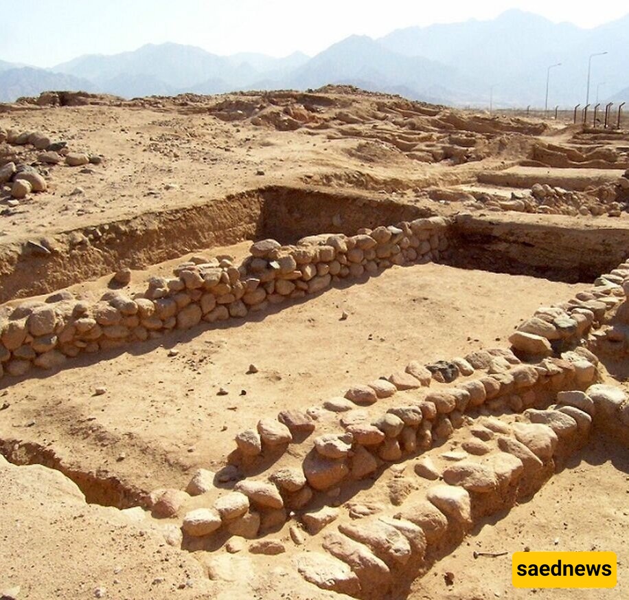 اکتشاف مذهل: جرّه عمرها 5600 عام تحتوی على محتویات غریبه + صور