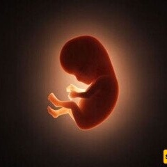 إجهاض امرأه شابه أثناء سرقه هاتفها فی طهرانبارس