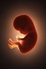 إجهاض امرأه شابه أثناء سرقه هاتفها فی طهرانبارس