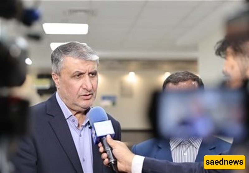محمد إسلامی: خططنا لضمان عدم حدوث أی انقطاع فی عملیه الصناعه النوویه