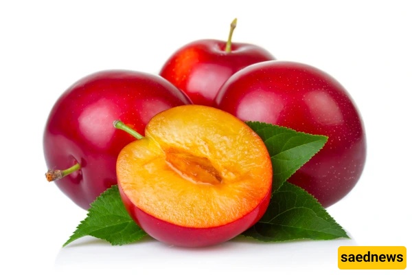 بذور البرقوق
