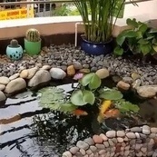 الإبداع المذهل للمهندس المعماری فی تصمیم برکه مائیه ومساحه خضراء على شرفه الشقه / أکثر الأفکار إلهامًا لمنزل الأحلام