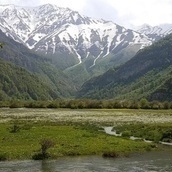 خزان قارقچال: جنه مخفیه فی قلب مازندران یجب على کل عاشق للطبیعه زیارتها + فیدیو