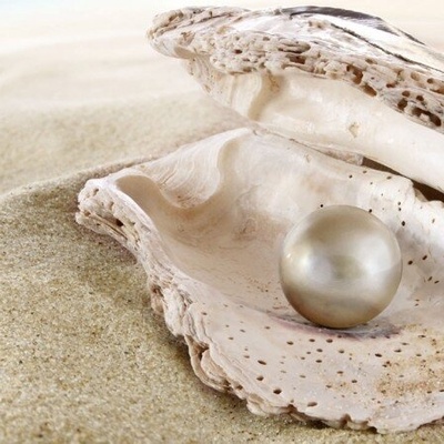 صیاد محظوظ یکتشف أکبر لؤلؤه فی العالم…ویکتشف قیمتها الحقیقیه بعد 10 سنوات + صور”