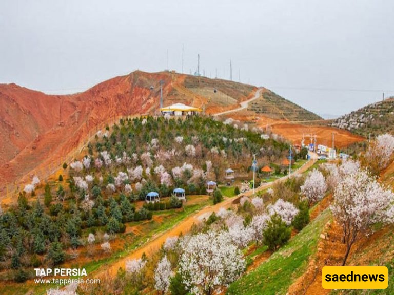 المساحات الخضراء والتشجیر