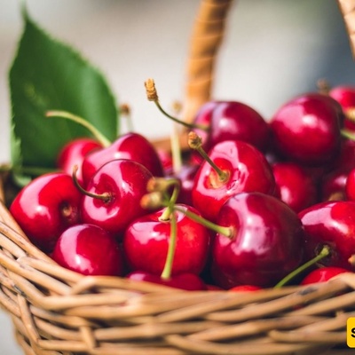 الکرز: السعرات الحراریه والقیمه الغذائیه وفوائده الصحیه المذهله