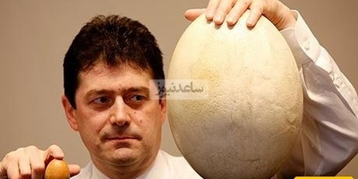 عجب أثری: العثور على بیضه عمرها 1700 عام بسائلها الداخلی السلیم—معجزه من قلب التاریخ!