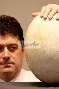 عجب أثری: العثور على بیضه عمرها 1700 عام بسائلها الداخلی السلیم—معجزه من قلب التاریخ!