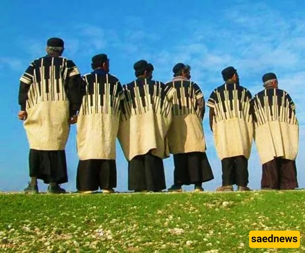البختیاریین