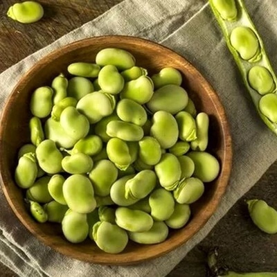 کیفیه تجفیف الفول الأخضر العریض: أفضل طریقه للحفاظ على اللون والرائحه