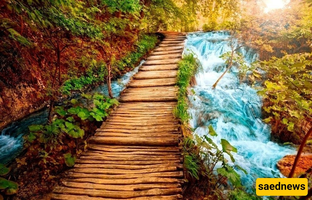 تحفه منسیه فی قلب داغستان: جسر عمره 800 عام بُنی دون مسمار واحد! 🤯 مذهل حقًا!