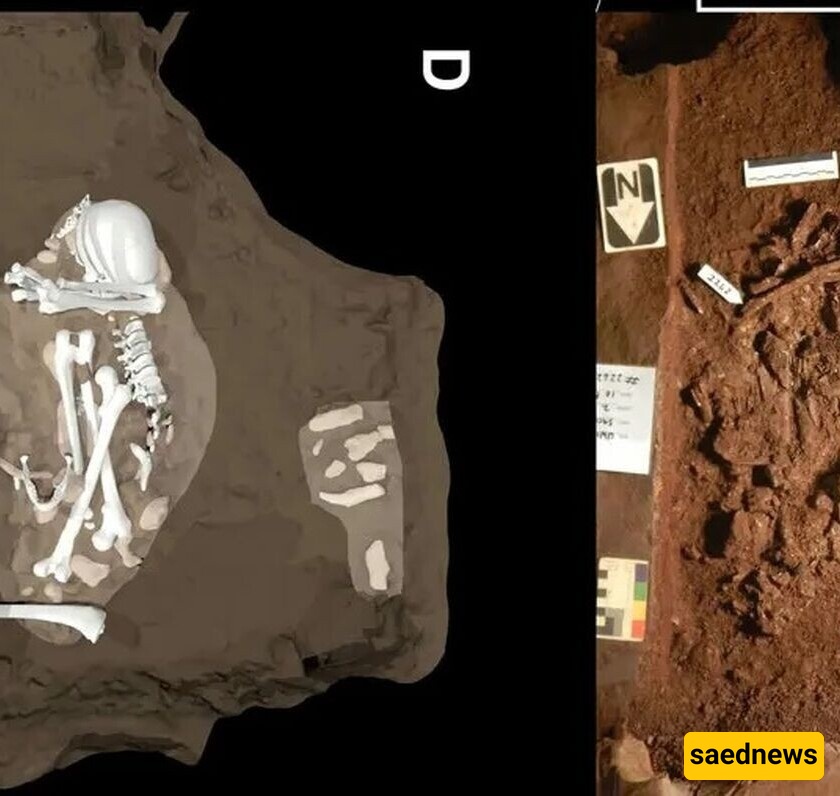 صور مذهله لأقدم "قبر" فی العالم، قد یعود إلى نوع بشری سابق