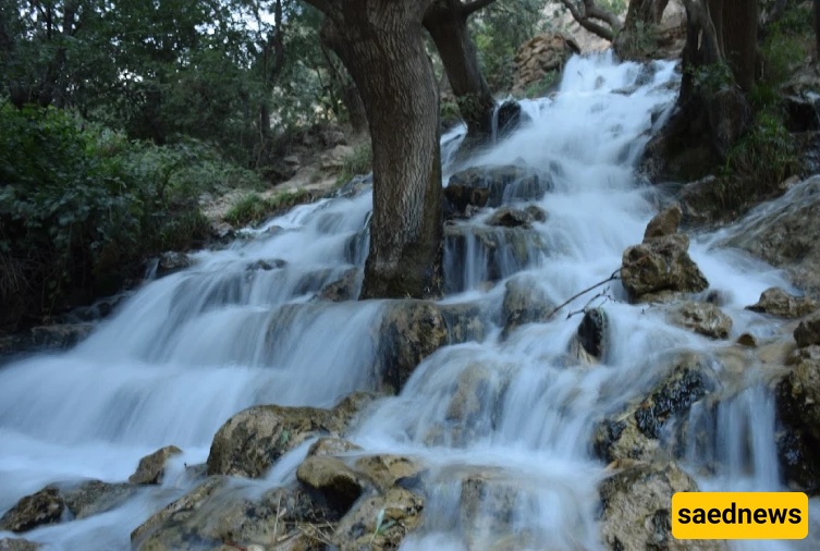 الجنه المفقوده