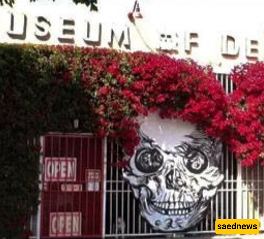 متحف یثیر الدوار ویجعل الزوار یغمى علیهم