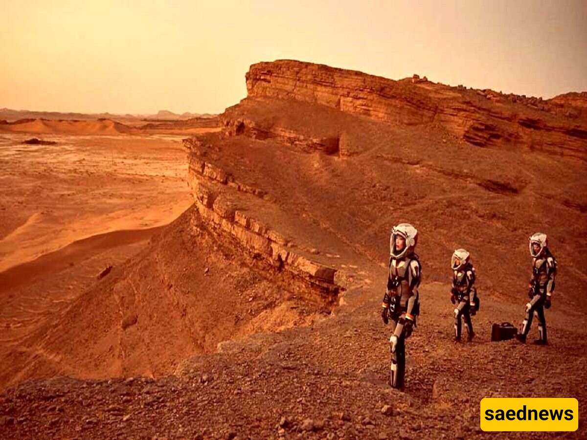 هل أصیب رواد الفضاء بالدهشه لرؤیه أفوکادو عمره آلاف السنین على المریخ؟ [فیدیو]