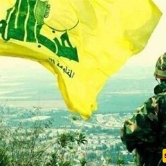 فیدیو...النخیل الشامخه