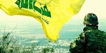 فیدیو...النخیل الشامخه