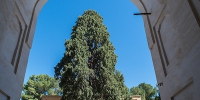 الجامع الکبیر فی نیریز: تحفه معماریه خالده