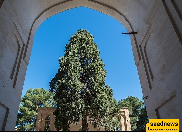 الجامع الکبیر فی نیریز: تحفه معماریه خالده