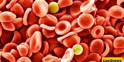 تم التعرف أخیرًا على فصیله الدم الغامضه التی کان الأطباء یبحثون عنها لسنوات!