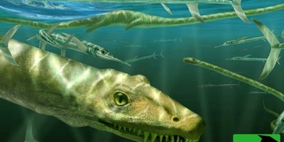 اکتشاف علماء صینیین أحفوره زاحف عمرها 240 ملیون سنه + صور