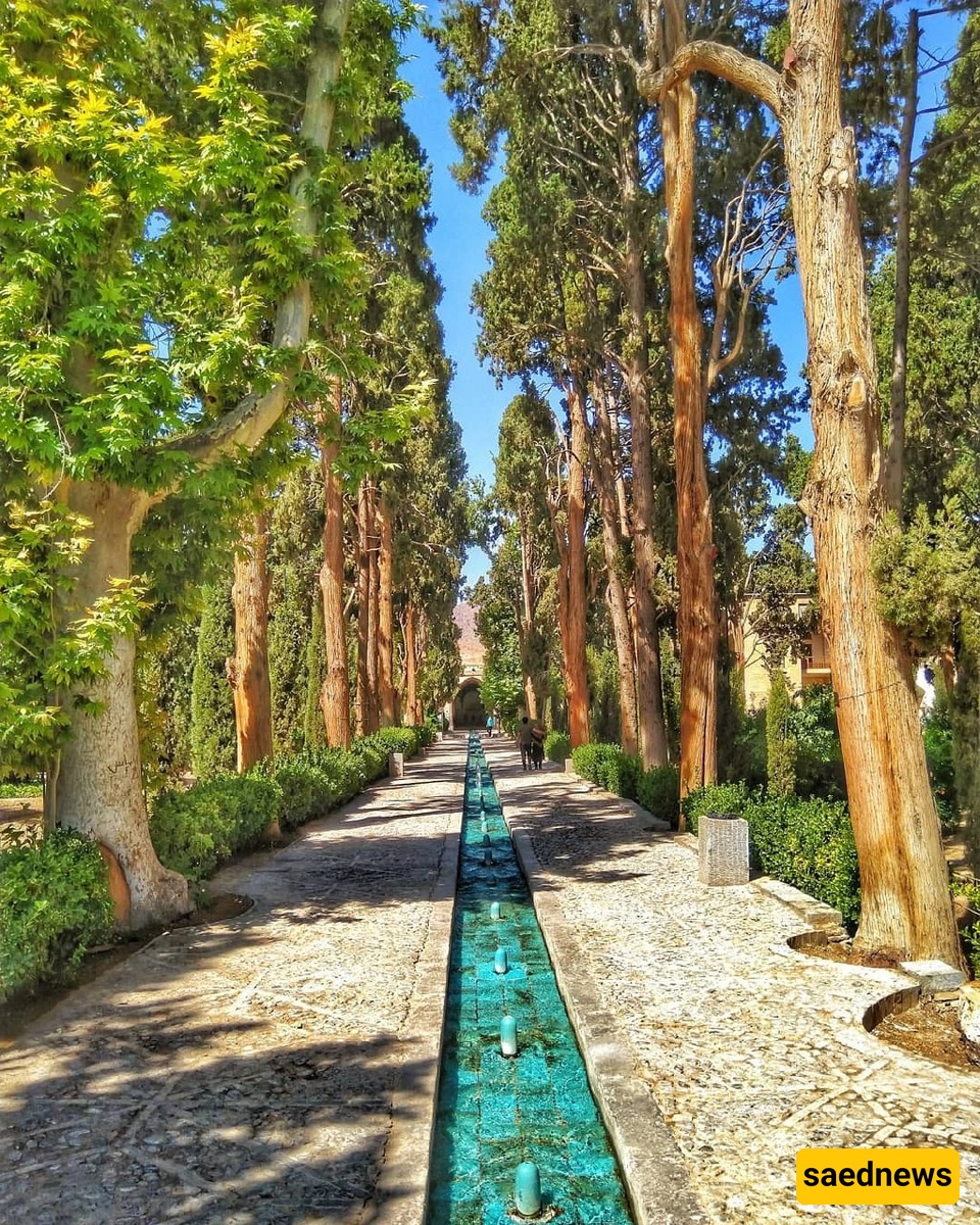 فین کاشان