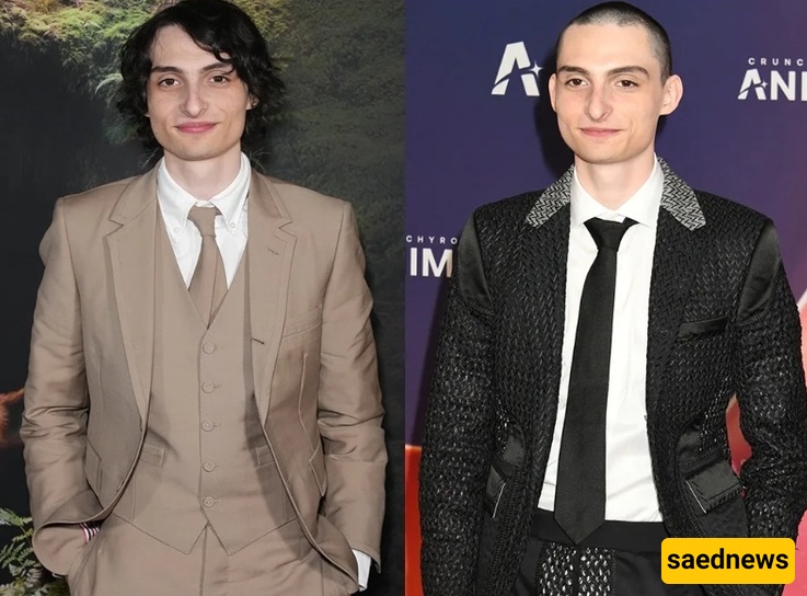 فین وولفهارد