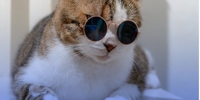 تشعر بالحزن؟ هذا الفیدیو سیعید نشاطک 😂 / مقطع فیروسی لقطه ترقص وتسبح + فیدیو